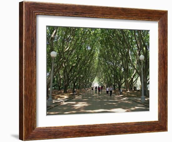 Hyde Park, Sydney, New South Wales, Australia, Pacific-Neale Clarke-Framed Photographic Print