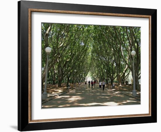 Hyde Park, Sydney, New South Wales, Australia, Pacific-Neale Clarke-Framed Photographic Print