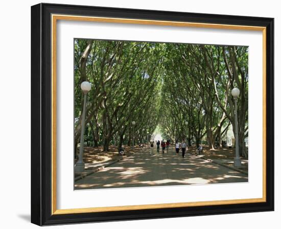 Hyde Park, Sydney, New South Wales, Australia, Pacific-Neale Clarke-Framed Photographic Print