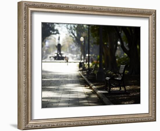 Hyde Park, Sydney, New South Wales, Australia, Pacific-Mark Mawson-Framed Photographic Print