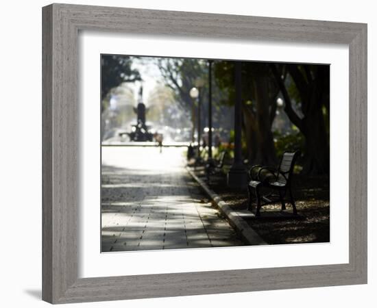 Hyde Park, Sydney, New South Wales, Australia, Pacific-Mark Mawson-Framed Photographic Print