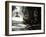 Hyde Park, Sydney, New South Wales, Australia, Pacific-Mark Mawson-Framed Photographic Print