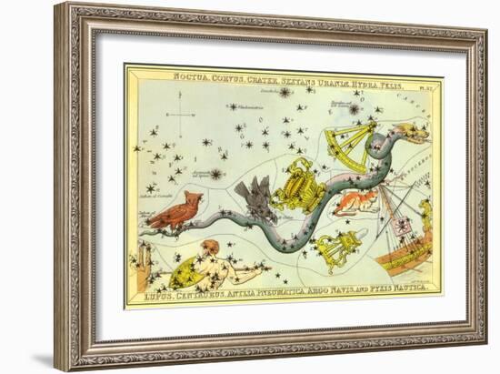 Hydra and Owl with Sextant-null-Framed Giclee Print