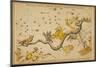 Hydra and Surrounding Constellations, 1825-Science Source-Mounted Giclee Print