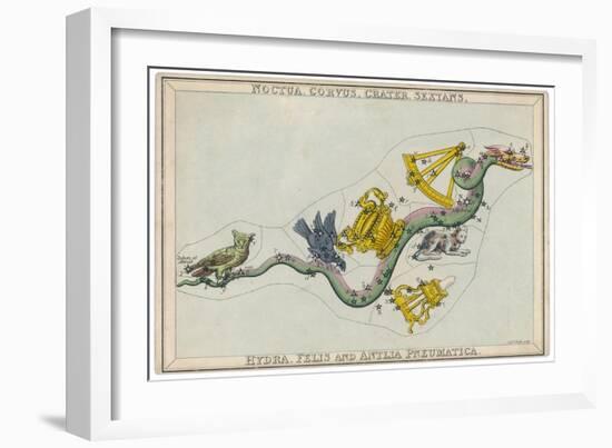 Hydra Constellation Including an Owl a Raven and a Sextant-Sidney Hall-Framed Art Print