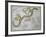 Hydra, from "A Celestial Atlas," Published in 1822-A. Jamieson-Framed Giclee Print