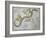 Hydra, from "A Celestial Atlas," Published in 1822-A. Jamieson-Framed Giclee Print