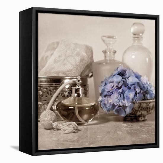 Hydrangea and Atomizer-Julie Greenwood-Framed Stretched Canvas