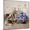 Hydrangea and Atomizer-Julie Greenwood-Mounted Art Print