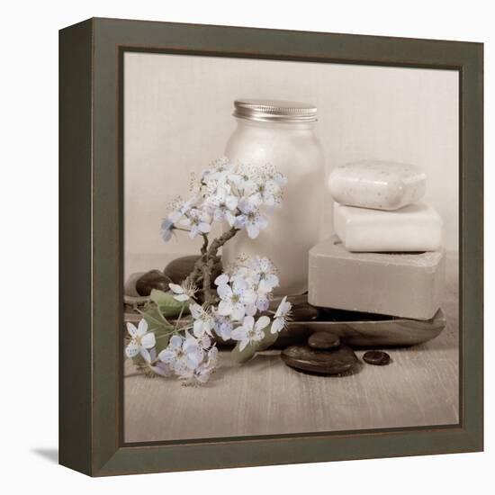 Hydrangea and Soap-Julie Greenwood-Framed Stretched Canvas