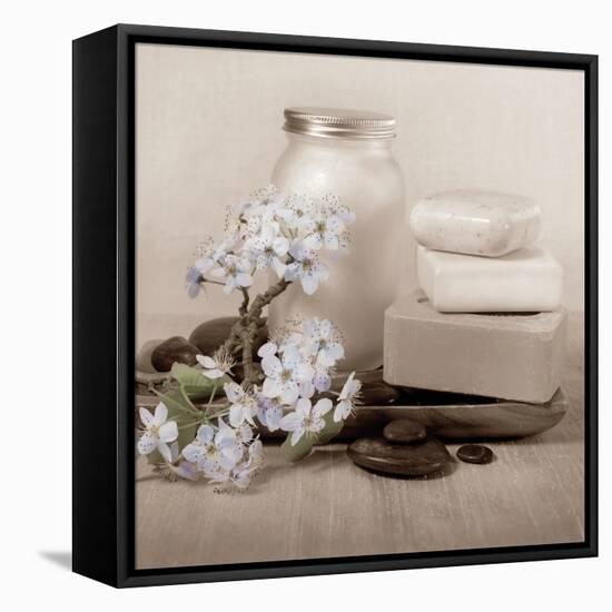 Hydrangea and Soap-Julie Greenwood-Framed Stretched Canvas