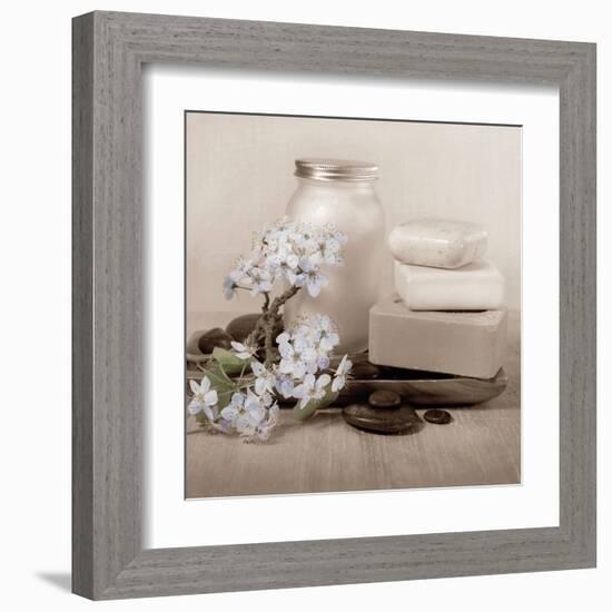 Hydrangea and Soap-Julie Greenwood-Framed Art Print