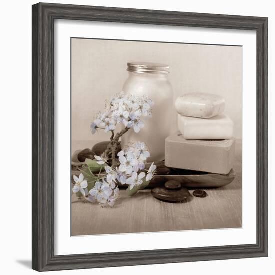 Hydrangea and Soap-Julie Greenwood-Framed Art Print