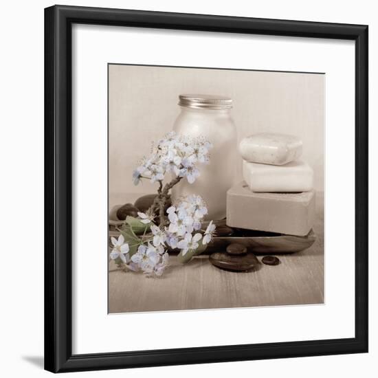 Hydrangea and Soap-Julie Greenwood-Framed Art Print