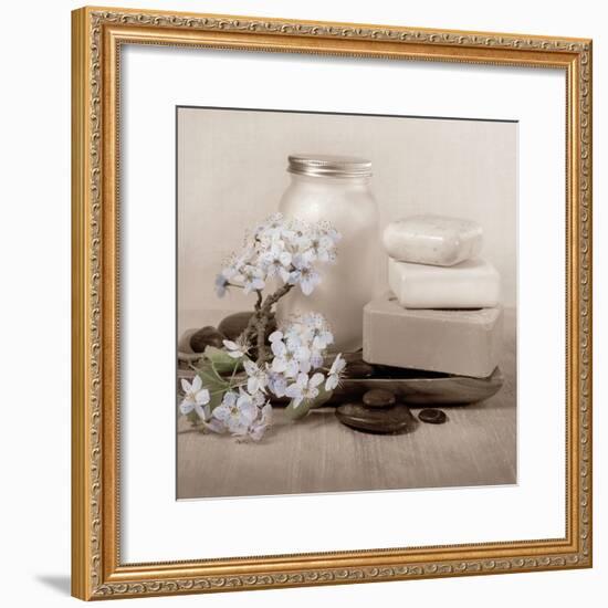 Hydrangea and Soap-Julie Greenwood-Framed Art Print