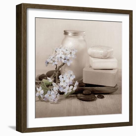 Hydrangea and Soap-Julie Greenwood-Framed Art Print