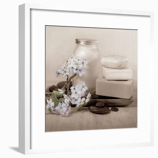 Hydrangea and Soap-Julie Greenwood-Framed Art Print