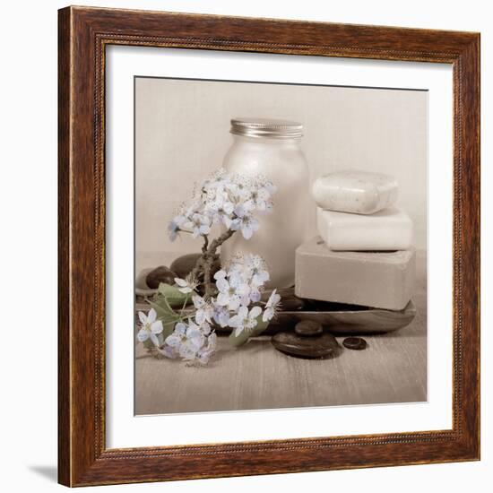 Hydrangea and Soap-Julie Greenwood-Framed Art Print