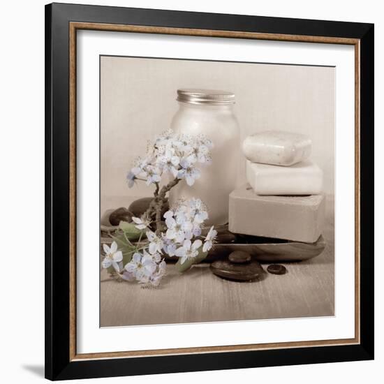 Hydrangea and Soap-Julie Greenwood-Framed Art Print