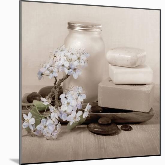 Hydrangea and Soap-Julie Greenwood-Mounted Art Print
