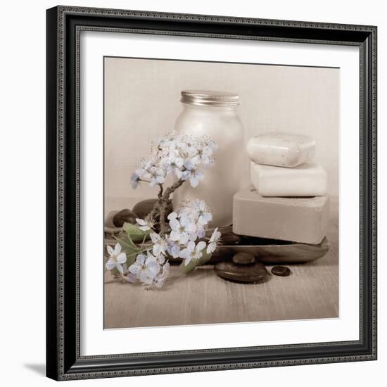 Hydrangea and Soap-Julie Greenwood-Framed Art Print