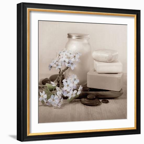 Hydrangea and Soap-Julie Greenwood-Framed Art Print