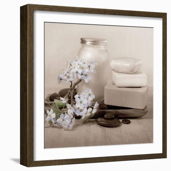 Hydrangea and Soap-Julie Greenwood-Framed Premium Giclee Print