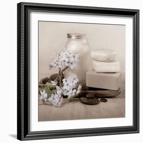 Hydrangea and Soap-Julie Greenwood-Framed Premium Giclee Print