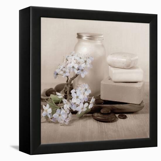 Hydrangea and Soap-Julie Greenwood-Framed Stretched Canvas