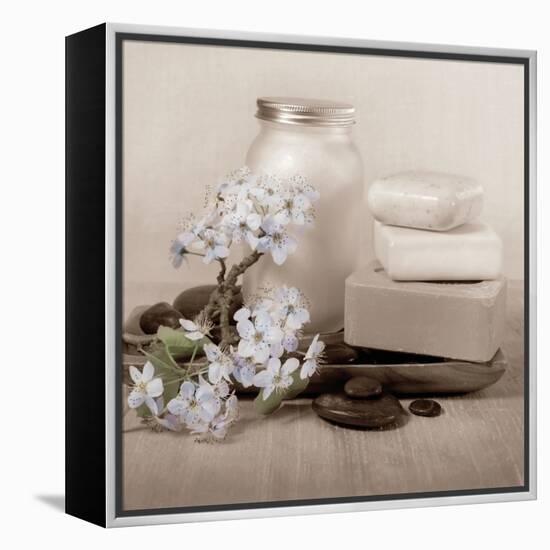 Hydrangea and Soap-Julie Greenwood-Framed Stretched Canvas