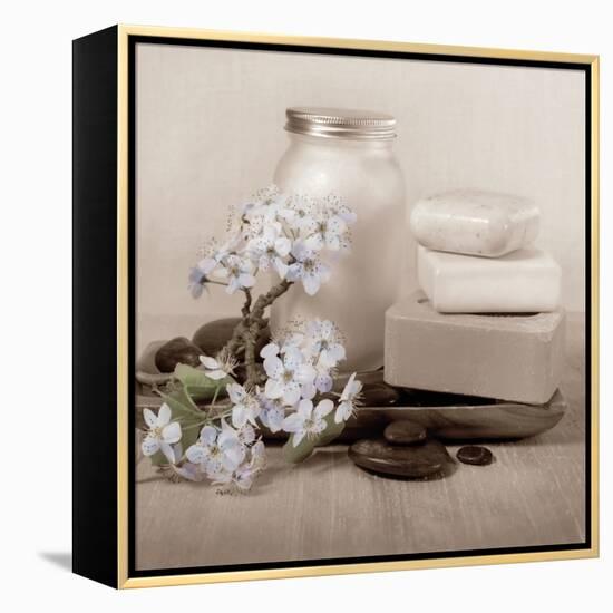 Hydrangea and Soap-Julie Greenwood-Framed Stretched Canvas