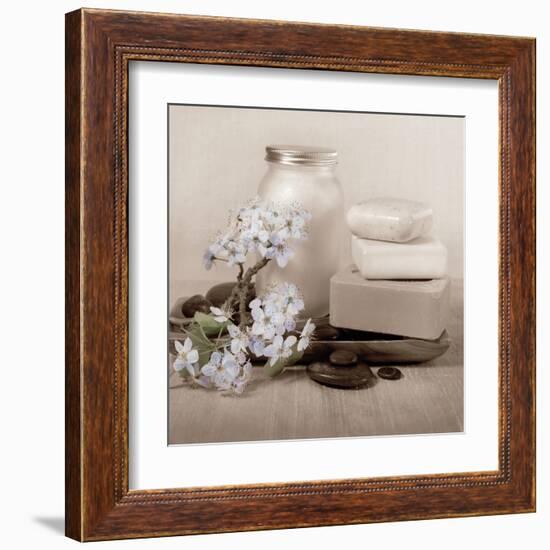 Hydrangea and Soap-Julie Greenwood-Framed Art Print