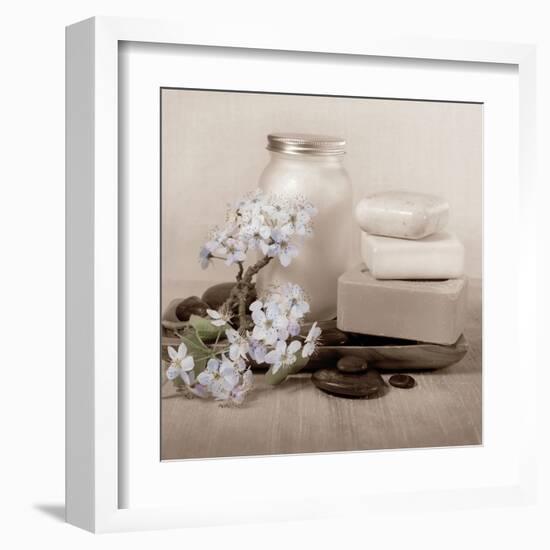 Hydrangea and Soap-Julie Greenwood-Framed Art Print