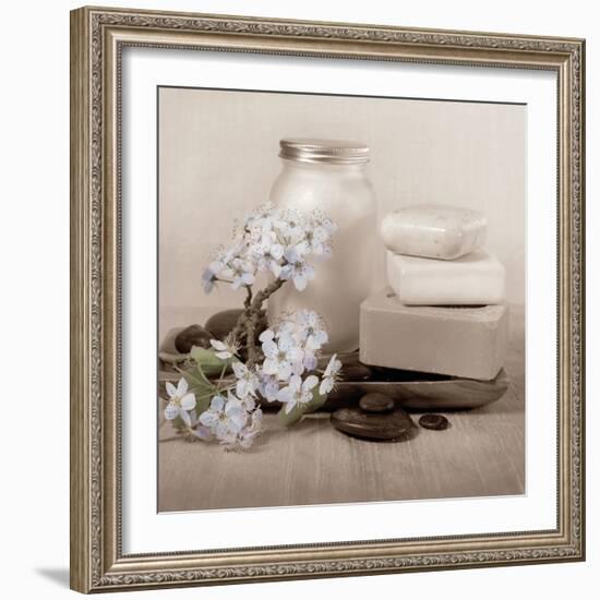 Hydrangea and Soap-Julie Greenwood-Framed Art Print