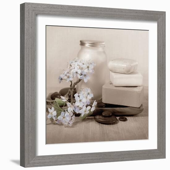 Hydrangea and Soap-Julie Greenwood-Framed Art Print