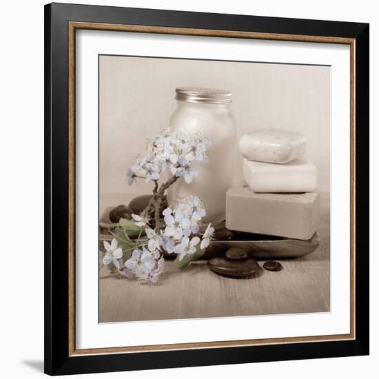 Hydrangea and Soap-Julie Greenwood-Framed Art Print