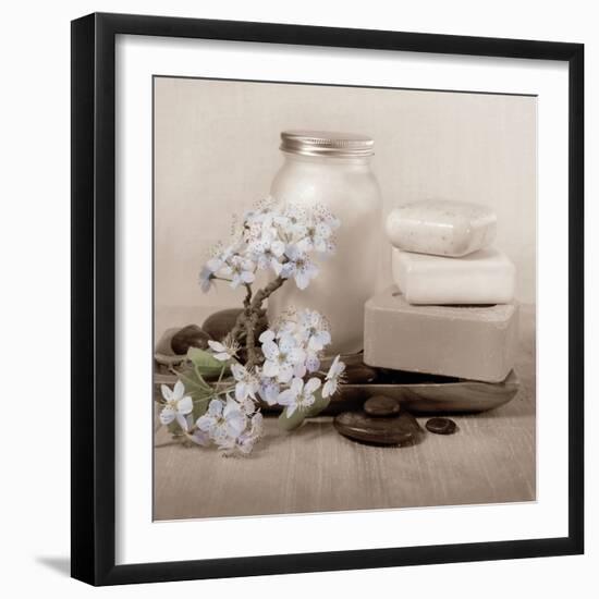 Hydrangea and Soap-Julie Greenwood-Framed Art Print