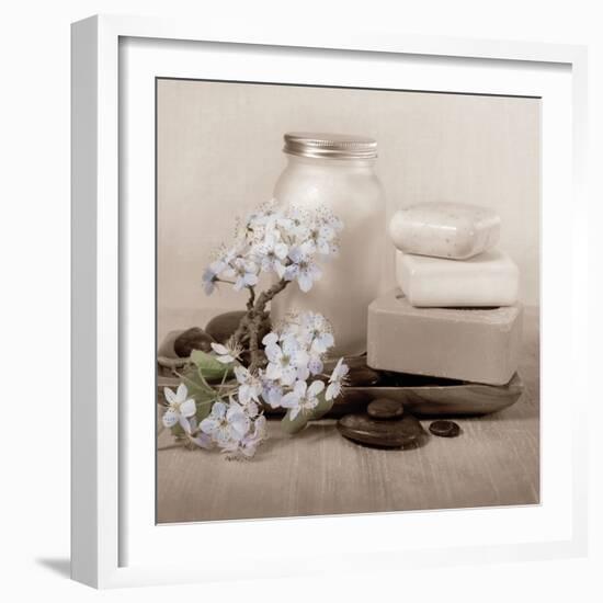 Hydrangea and Soap-Julie Greenwood-Framed Art Print