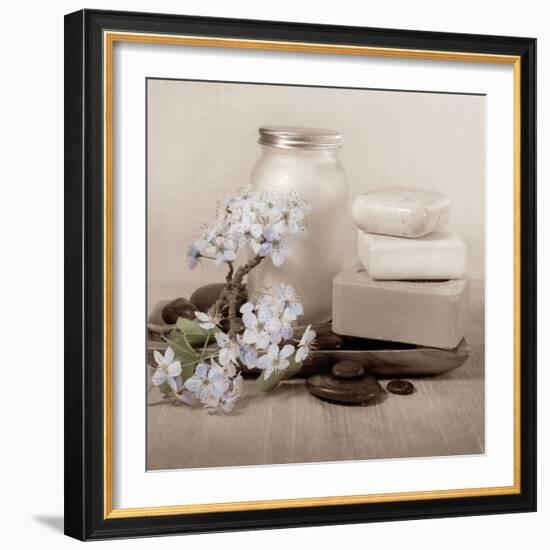 Hydrangea and Soap-Julie Greenwood-Framed Art Print