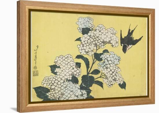 Hydrangea and Swallow, C. 1832-Katsushika Hokusai-Framed Premier Image Canvas