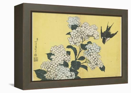 Hydrangea and Swallow, C. 1832-Katsushika Hokusai-Framed Premier Image Canvas