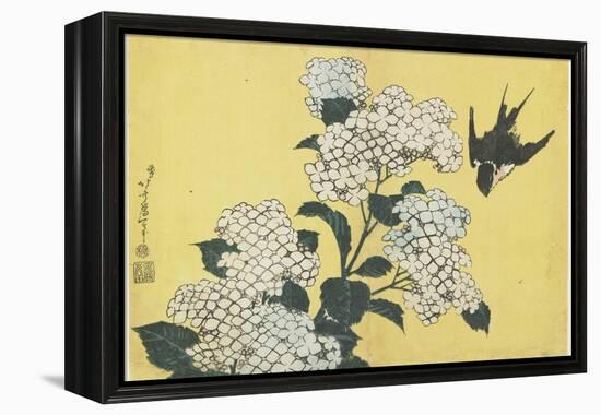 Hydrangea and Swallow, C. 1832-Katsushika Hokusai-Framed Premier Image Canvas