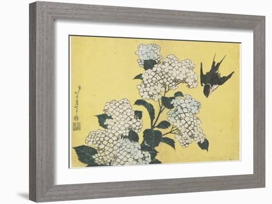 Hydrangea and Swallow, C. 1832-Katsushika Hokusai-Framed Giclee Print