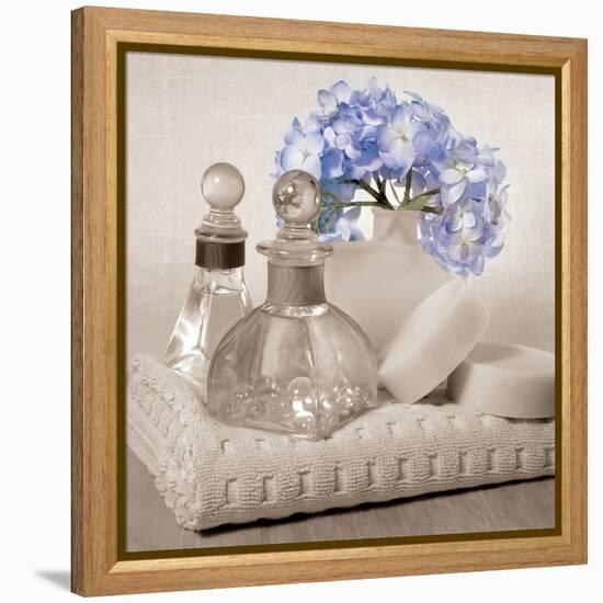 Hydrangea and Towel-Julie Greenwood-Framed Stretched Canvas