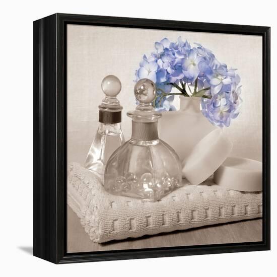 Hydrangea and Towel-Julie Greenwood-Framed Stretched Canvas