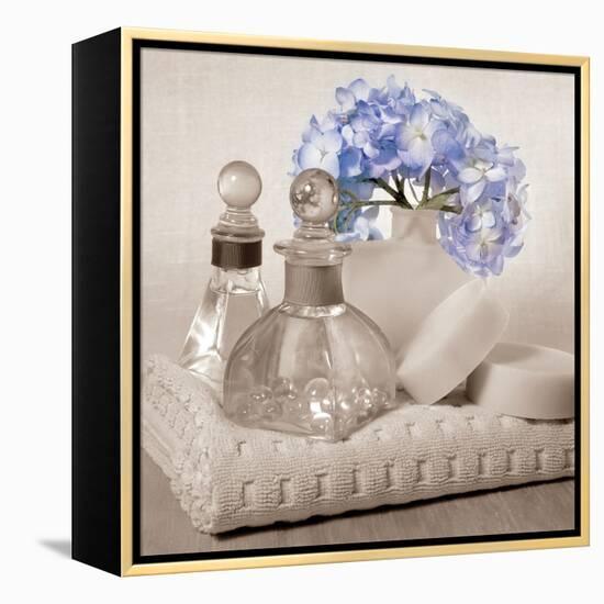 Hydrangea and Towel-Julie Greenwood-Framed Stretched Canvas