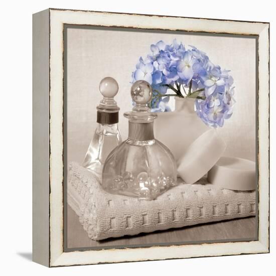 Hydrangea and Towel-Julie Greenwood-Framed Stretched Canvas