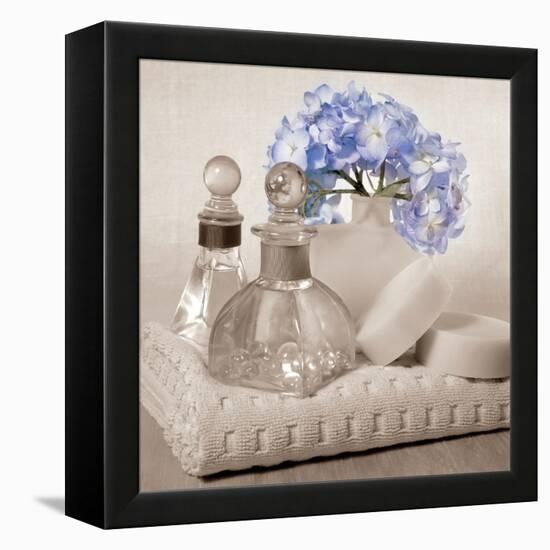 Hydrangea and Towel-Julie Greenwood-Framed Stretched Canvas