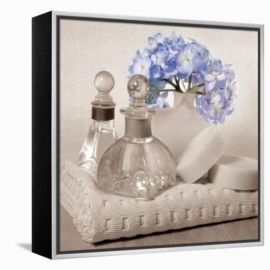 Hydrangea and Towel-Julie Greenwood-Framed Stretched Canvas