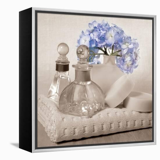 Hydrangea and Towel-Julie Greenwood-Framed Stretched Canvas